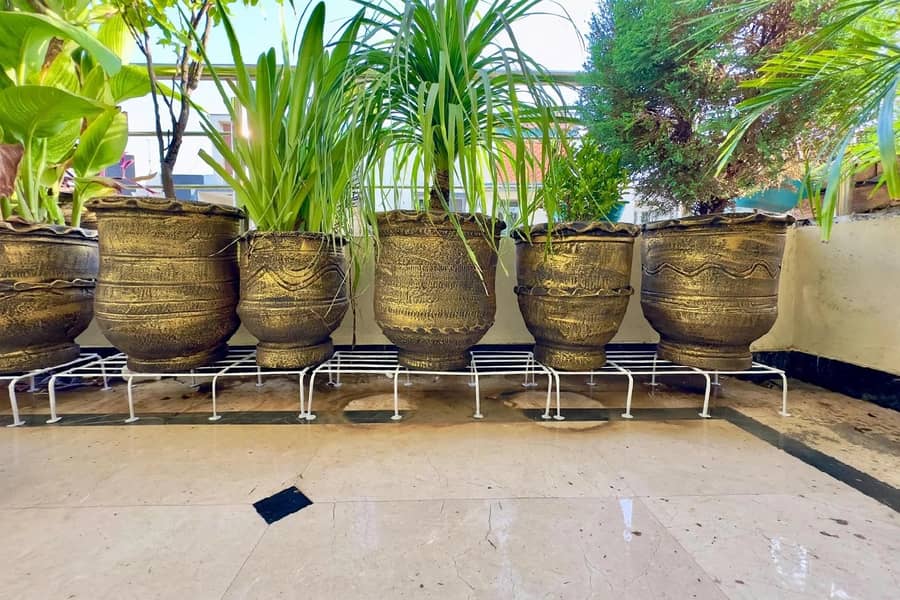 plant stand 3