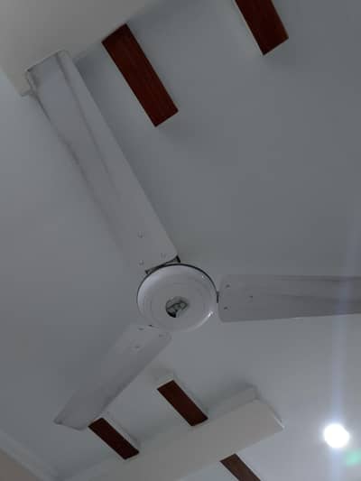 New ceiling fans for sale