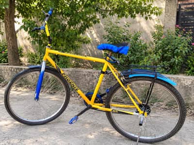 Phoenix Bicycle for Sale
