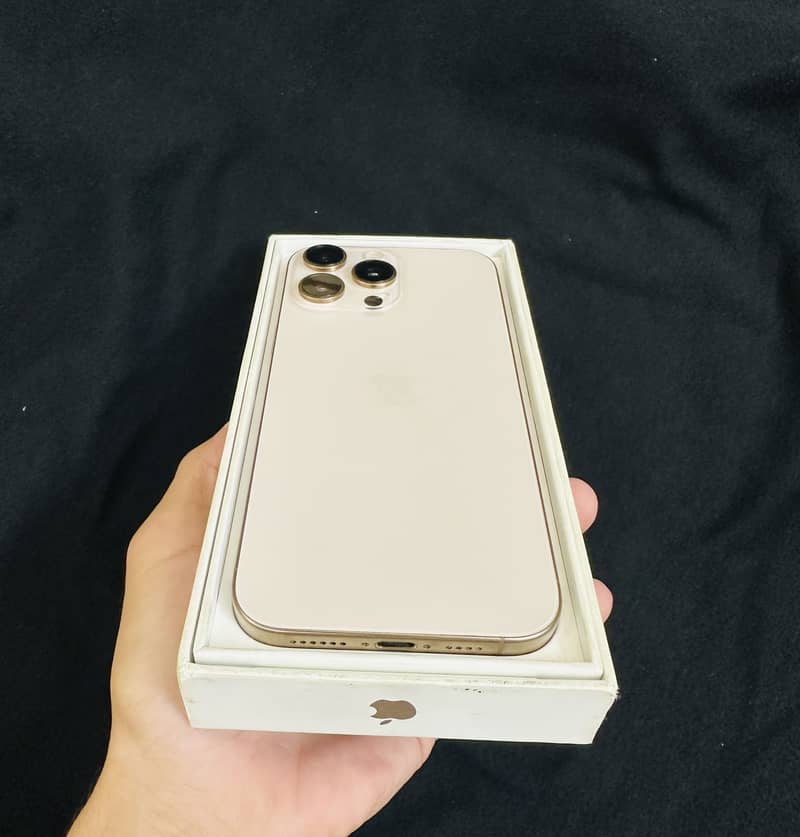 Apple iPhone 16 Pro Max 1