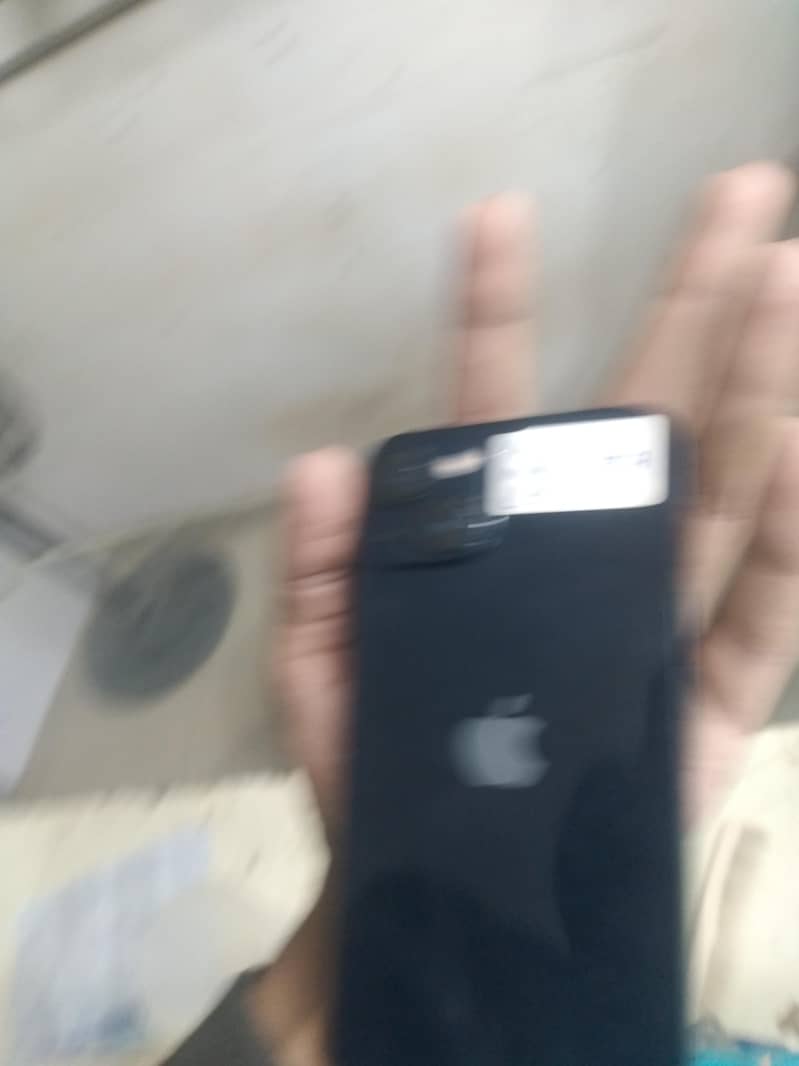 Apple iPhone 13 0