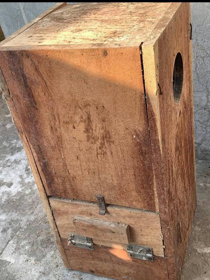Ringneck box 1