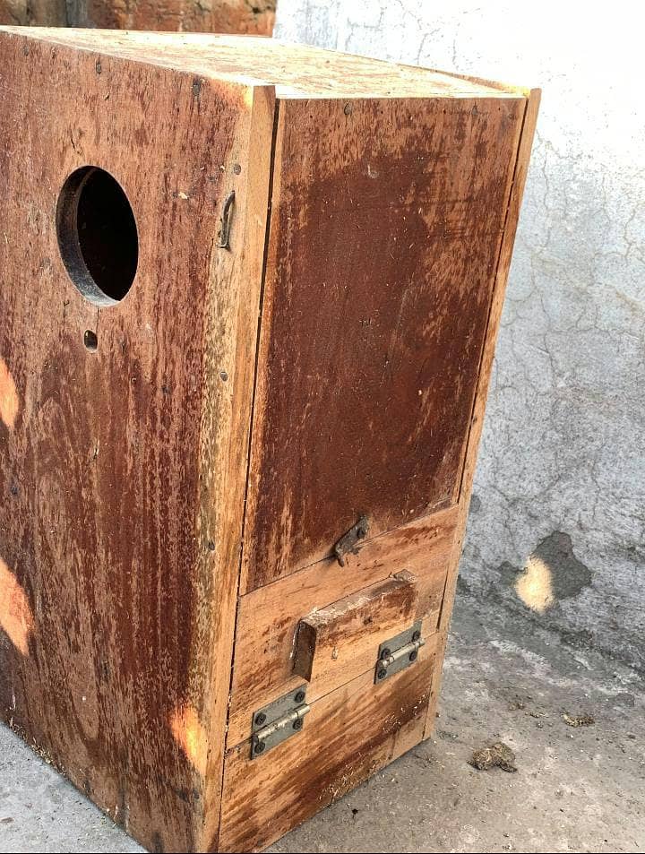 Ringneck box 2