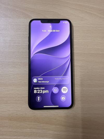 Apple iPhone 11 Pro Max
