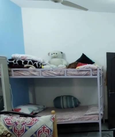 Bunk bed For Kids & Adults