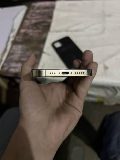 Apple iPhone 12 Pro