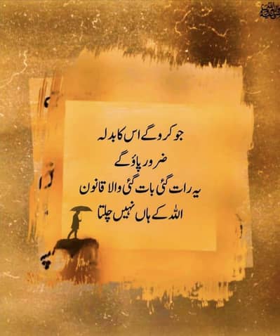 Assignmnt writing
