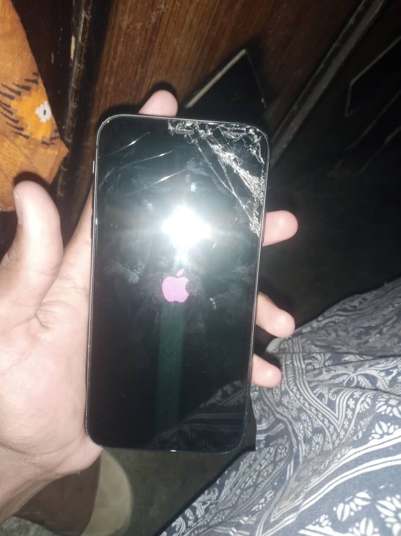 Apple iPhone 11 0