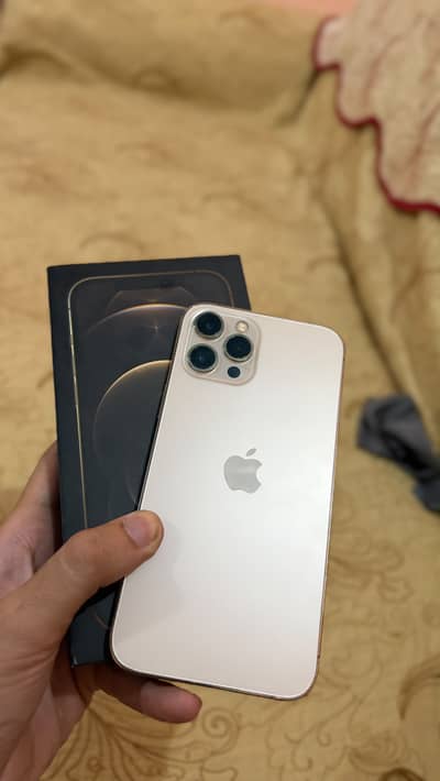 Apple iPhone 12 Pro Max