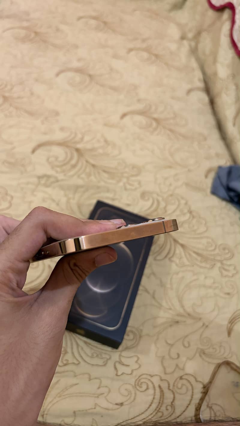 Apple iPhone 12 Pro Max 1