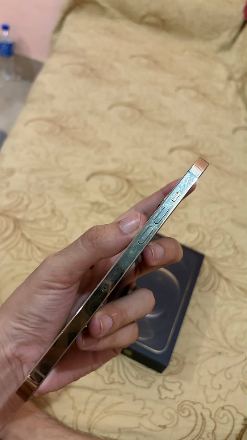 Apple iPhone 12 Pro Max 2