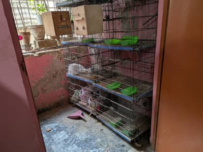 "Large Bird Cage with 8 Boxes for Sale. "