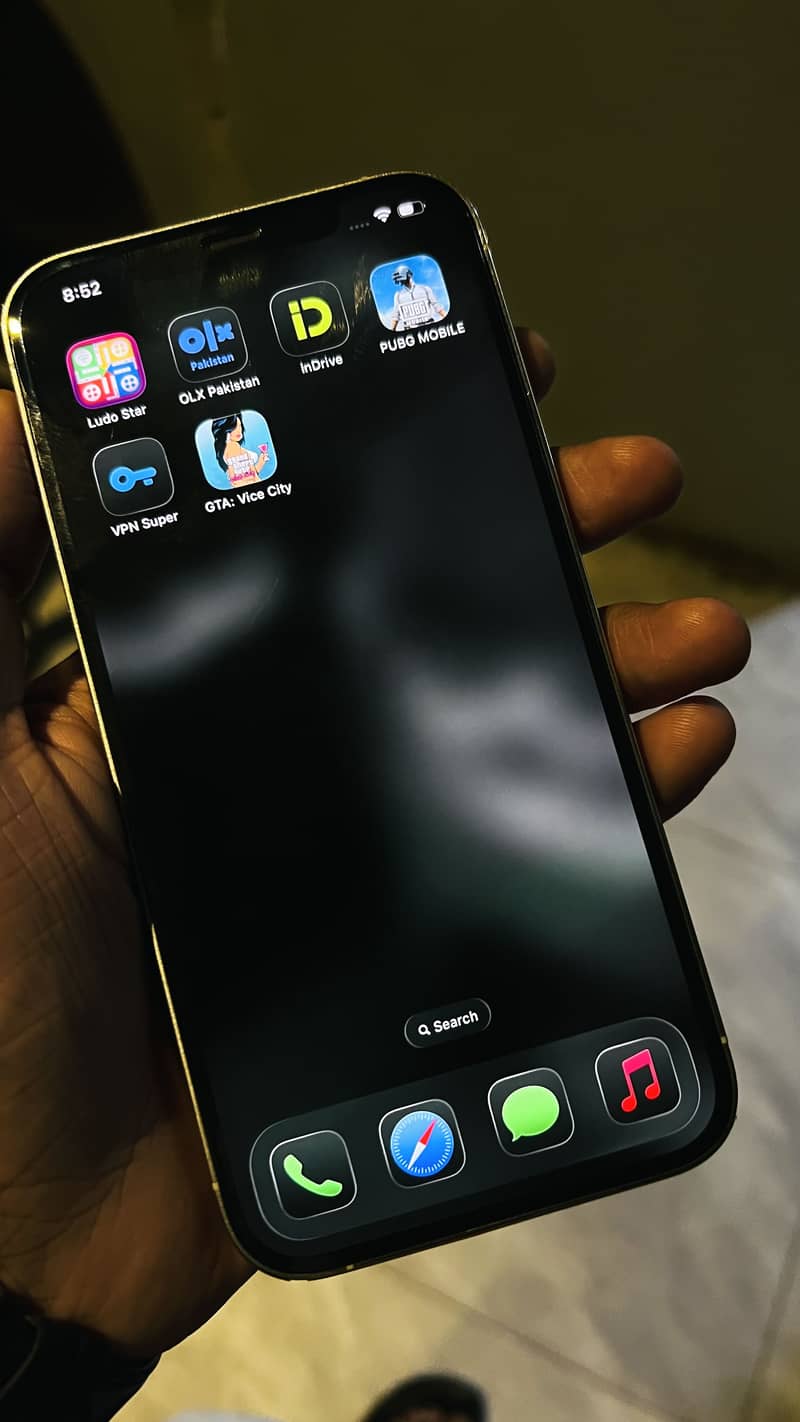 Apple iPhone 12 Pro Max 2