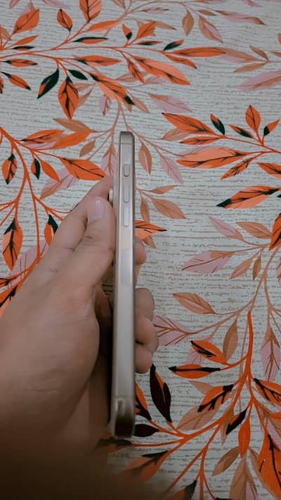I phone 16 Pro max