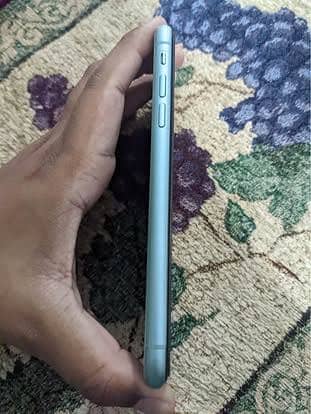 Apple iPhone 11 1