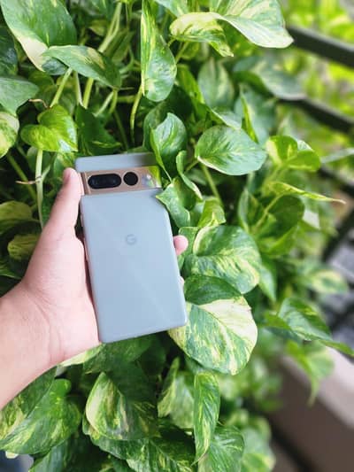 Google Pixel 7 Pro 256 Gb PTA APPROVED