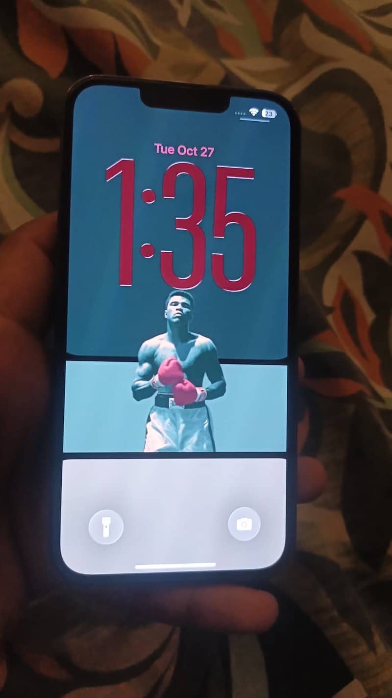 Apple iPhone 13 Pro 6