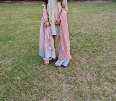 party wear dress