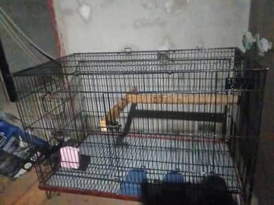 beautiful cage for birds