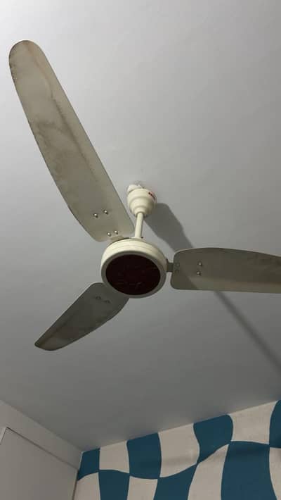 15 Ceiling Fans – Pak, Royal & Millat Brands