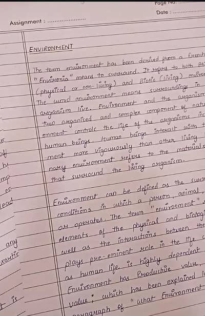 assignment writing
