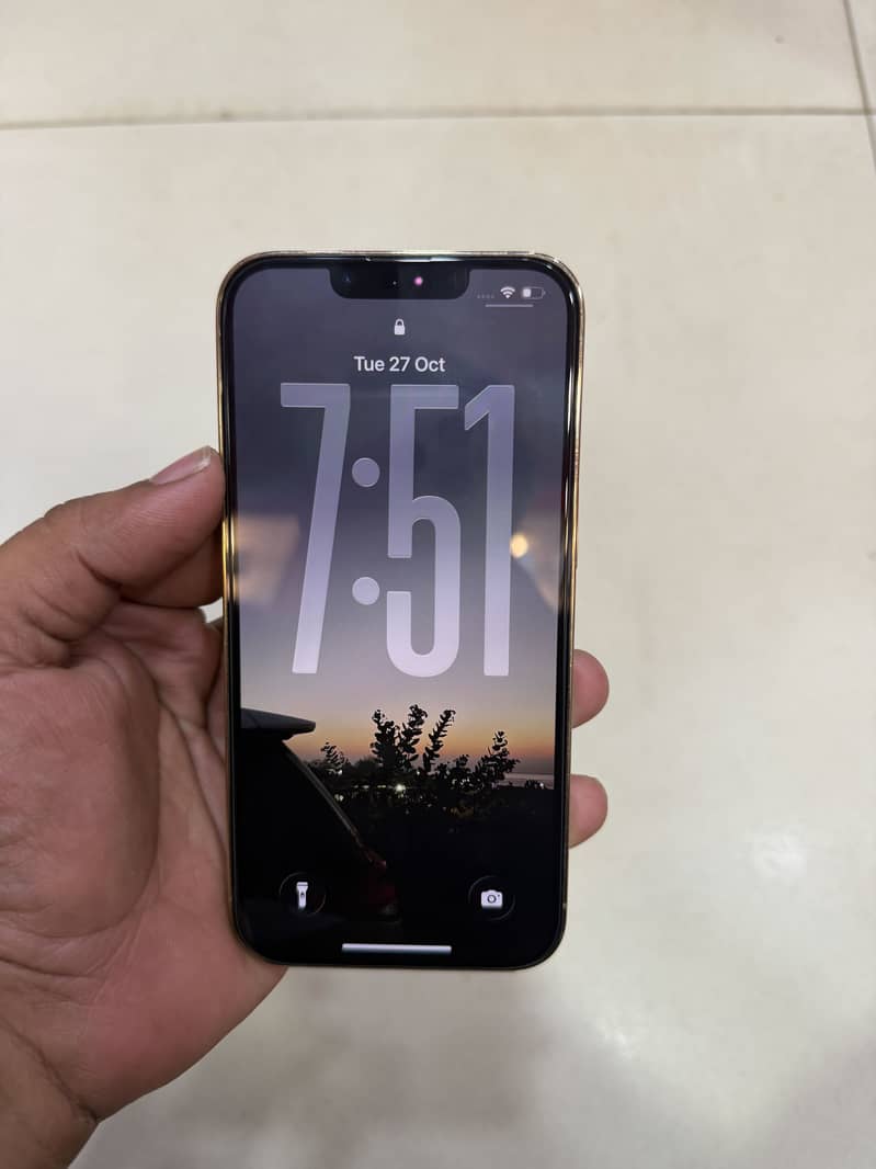 Apple iPhone 13 Pro 1
