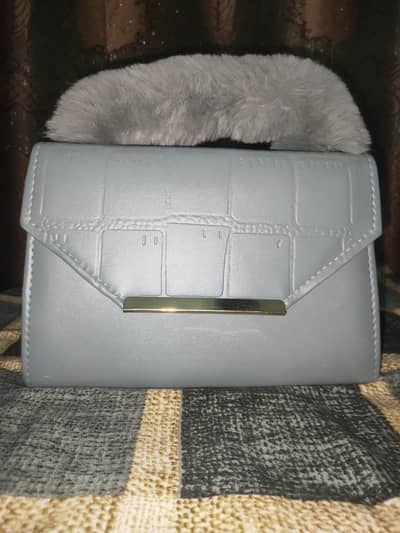 ladies handbag