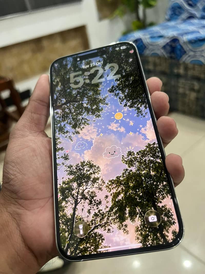 Apple iPhone 14 Pro Max 1