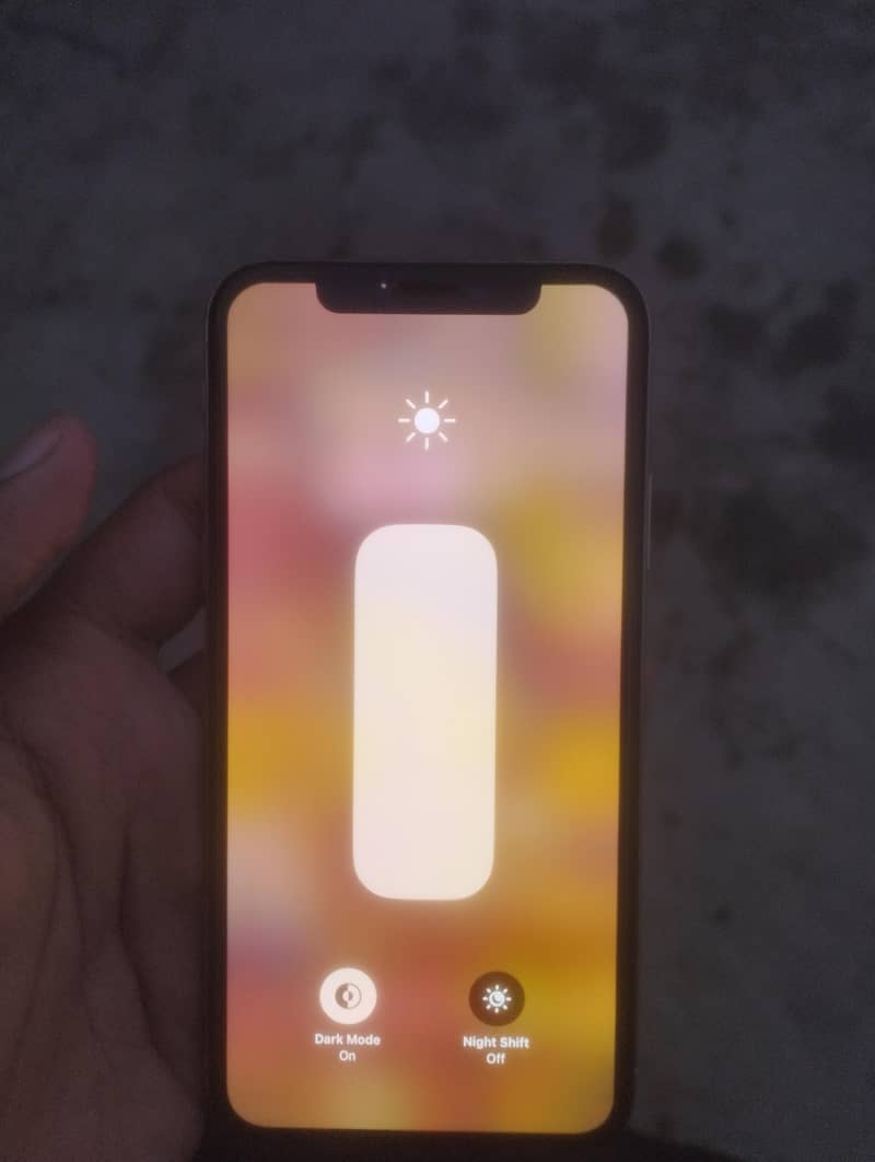 Apple iPhone XS 1