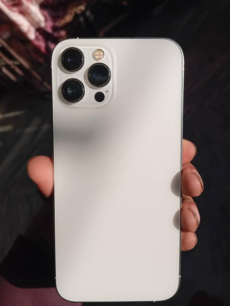 Apple iPhone 12 Pro Max 1