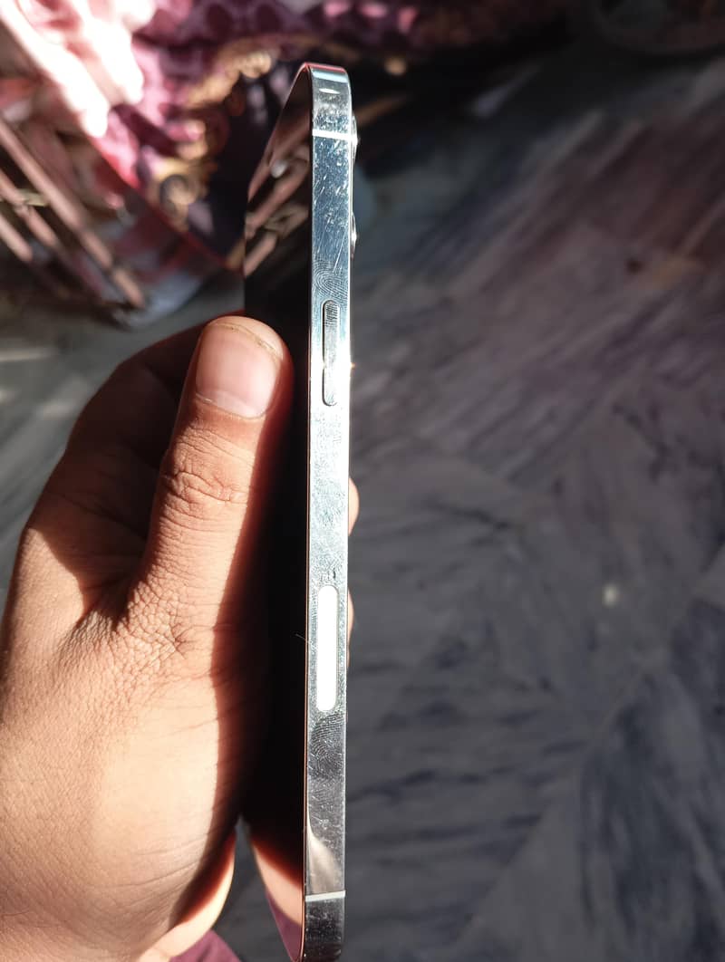 Apple iPhone 12 Pro Max 2
