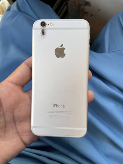 iPhone 6