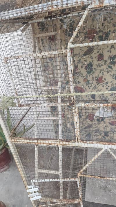Parrots Cage