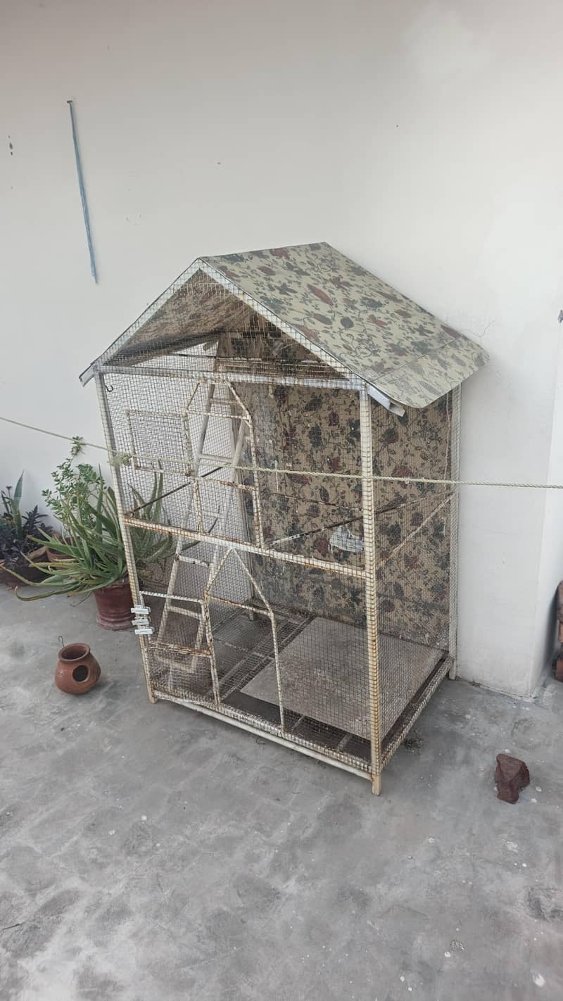 Parrots Cage 1