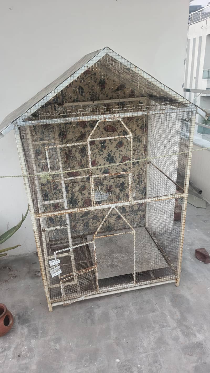 Parrots Cage 2