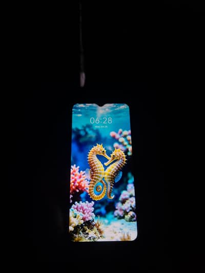 i am selling or exchange my phone