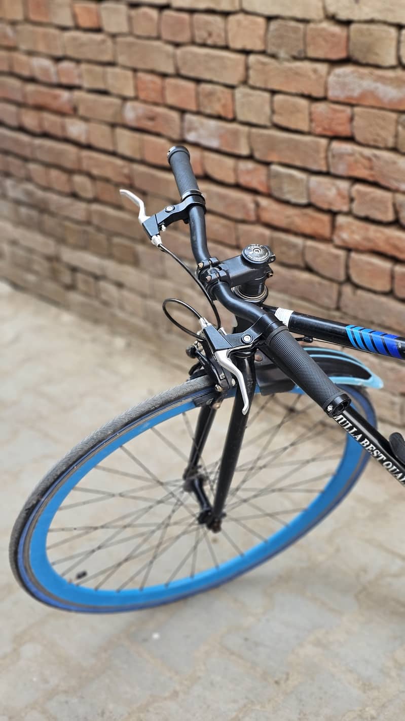 Imported Road bicycle 1