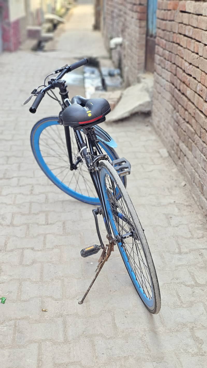 Imported Road bicycle 5