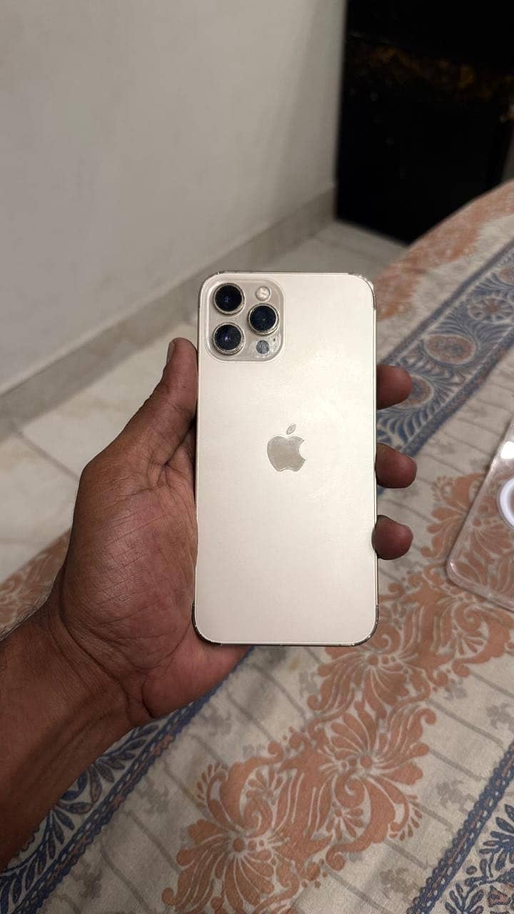 Apple iPhone 12 Pro Max 1