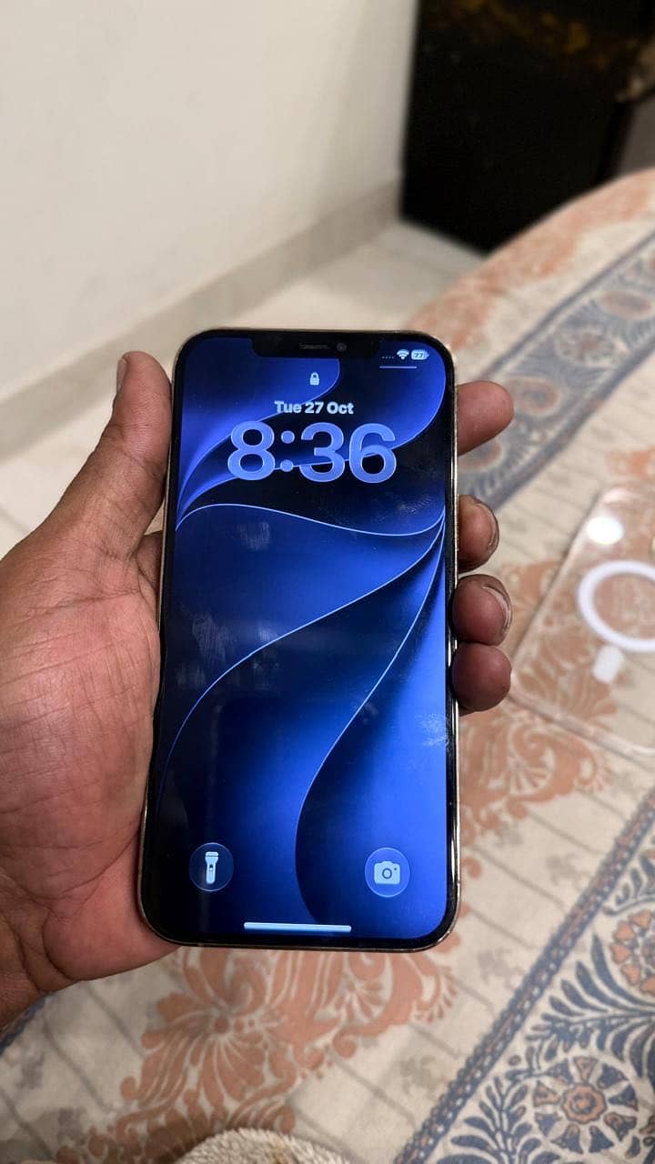 Apple iPhone 12 Pro Max 5