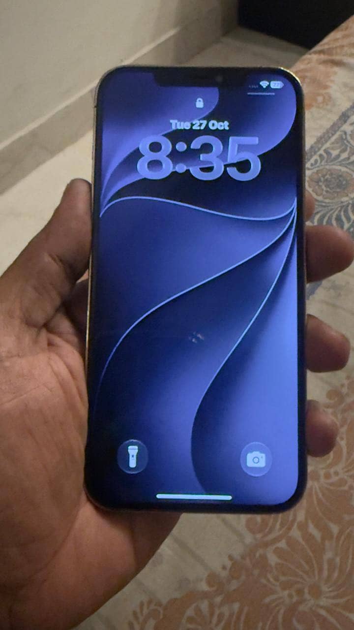 Apple iPhone 12 Pro Max 7