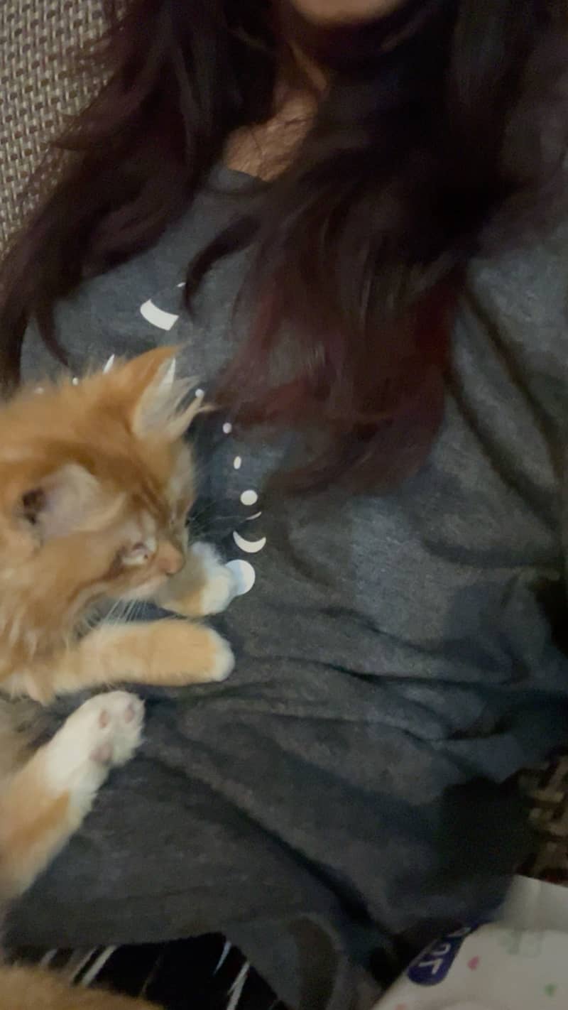 Garry 3
