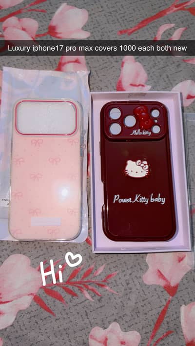 17 pro max cover