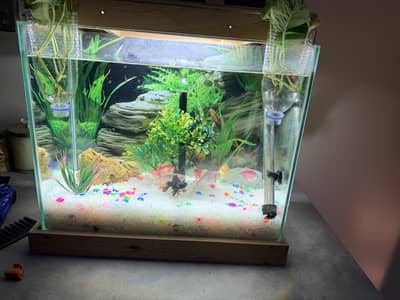 Aquarium with fishes for sale