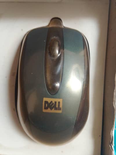 mouse
