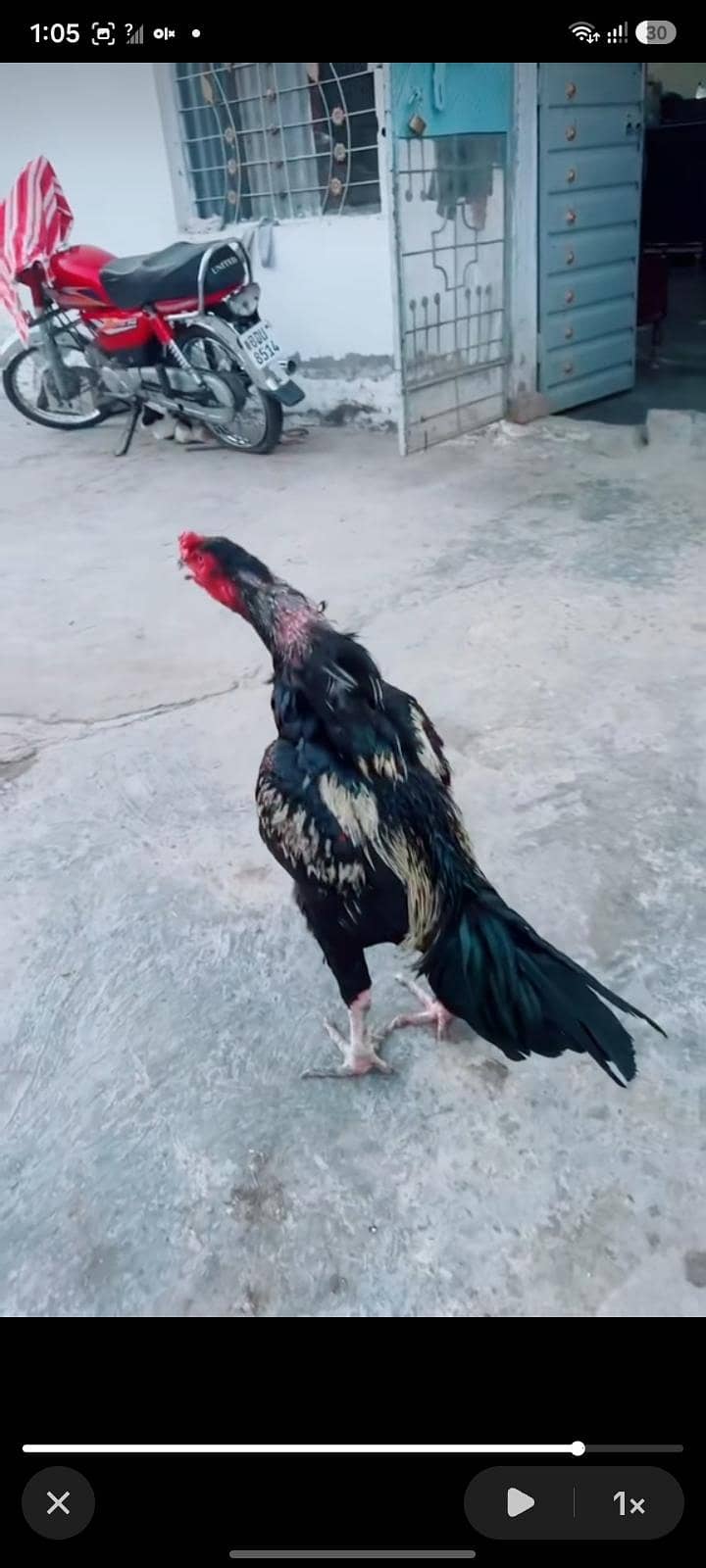 ماشاءاللہ 2