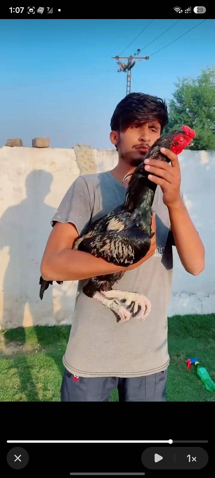 ماشاءاللہ 3