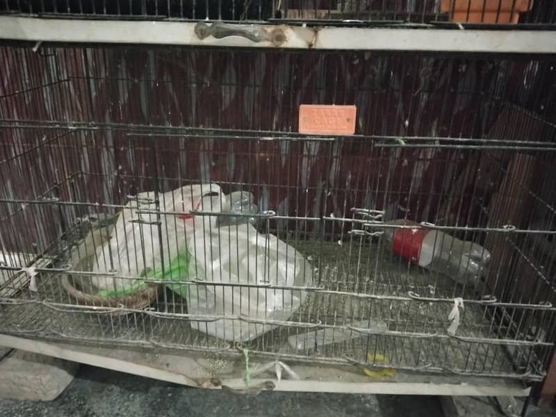 4 Portion Cage 1