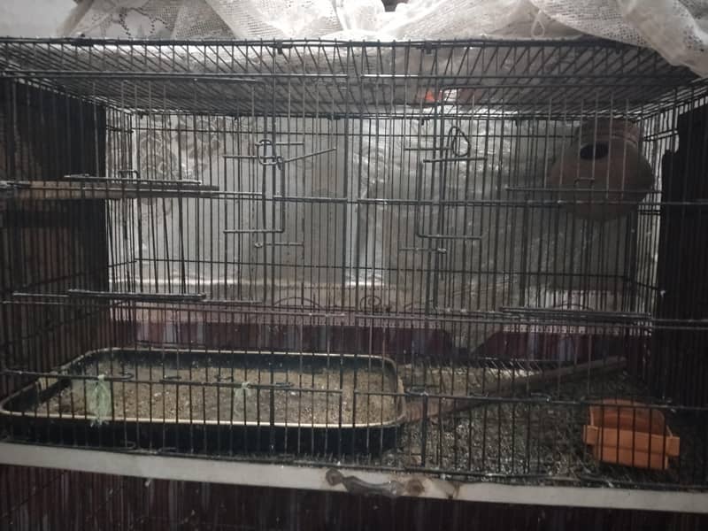 4 Portion Cage 2