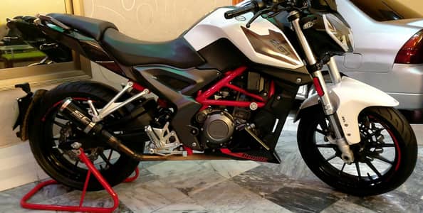 benelli 251s 2021
